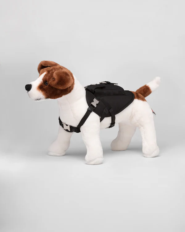 Coleira de cão Re-Nylon